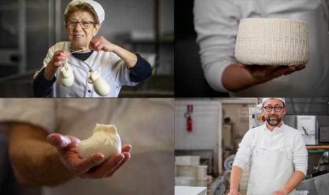 Tra mozzarelle e burrate la storia dei caseifici baresi: Arriviamo tutti da Andria e Gioia